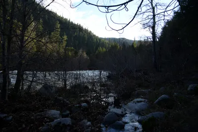 DSC_0937 (Large).JPG